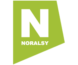 logo noralsy